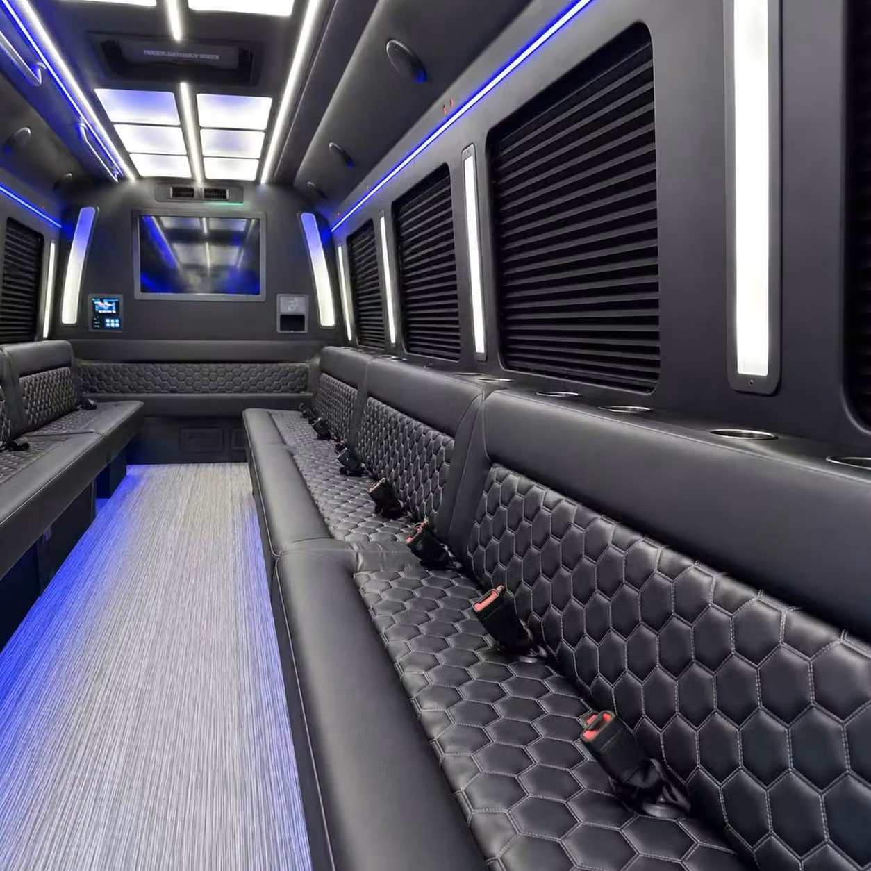 brighton party bus party lighting